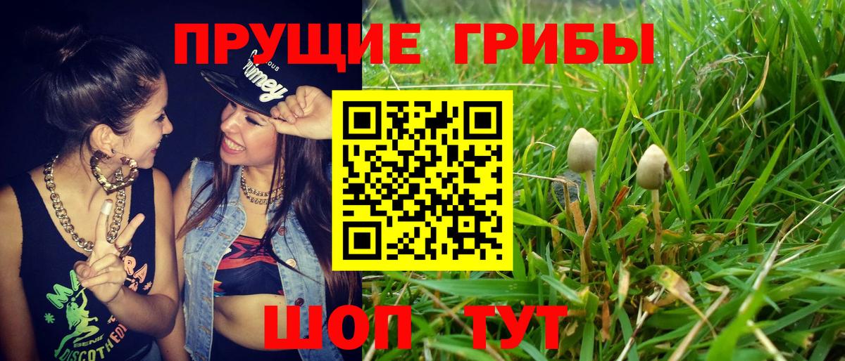 Галлюциногенные грибы ЛСД  Вход с VPN  Камень-на-Оби 